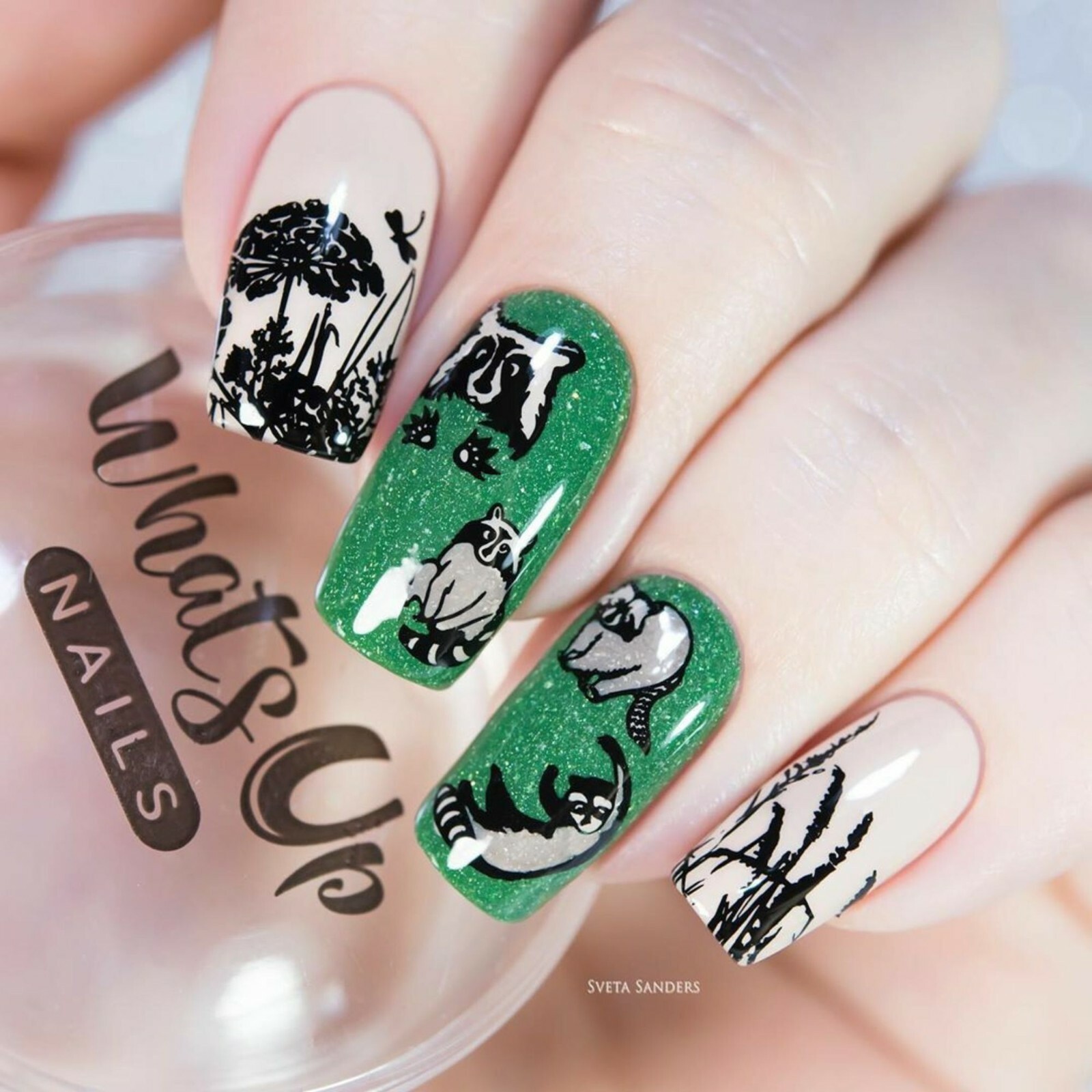 B052 sveta_sanders Stamping Plate For Stamped Nail Art Design