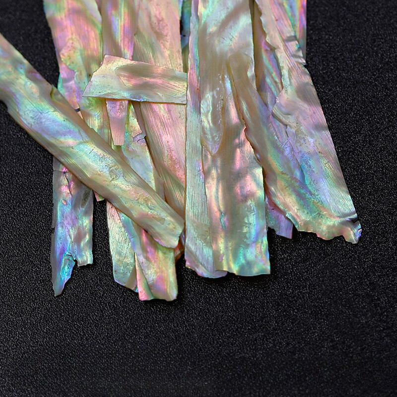 3g Abalone Shell Slices Long Strips Shell Flakes Thin Iridescent Nail Decors