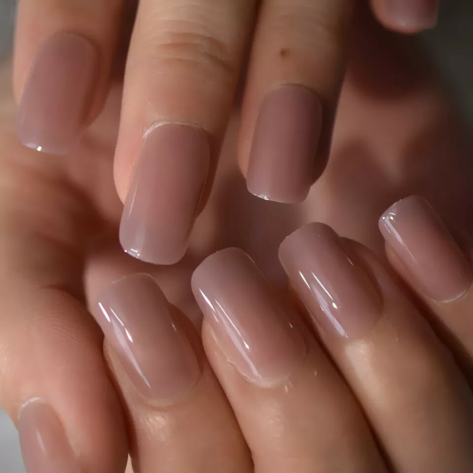 24 Square Nude Glaze Press on nails kit Glue on jelly tan clear taupe