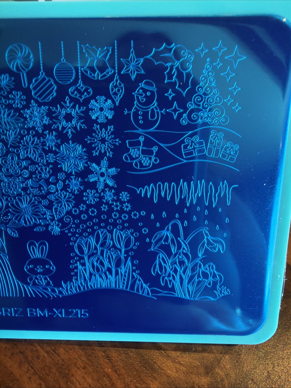Bundle Monster Maniology de_briz Colab BM-XL215 Seasons Nail Stamping Plate NEW