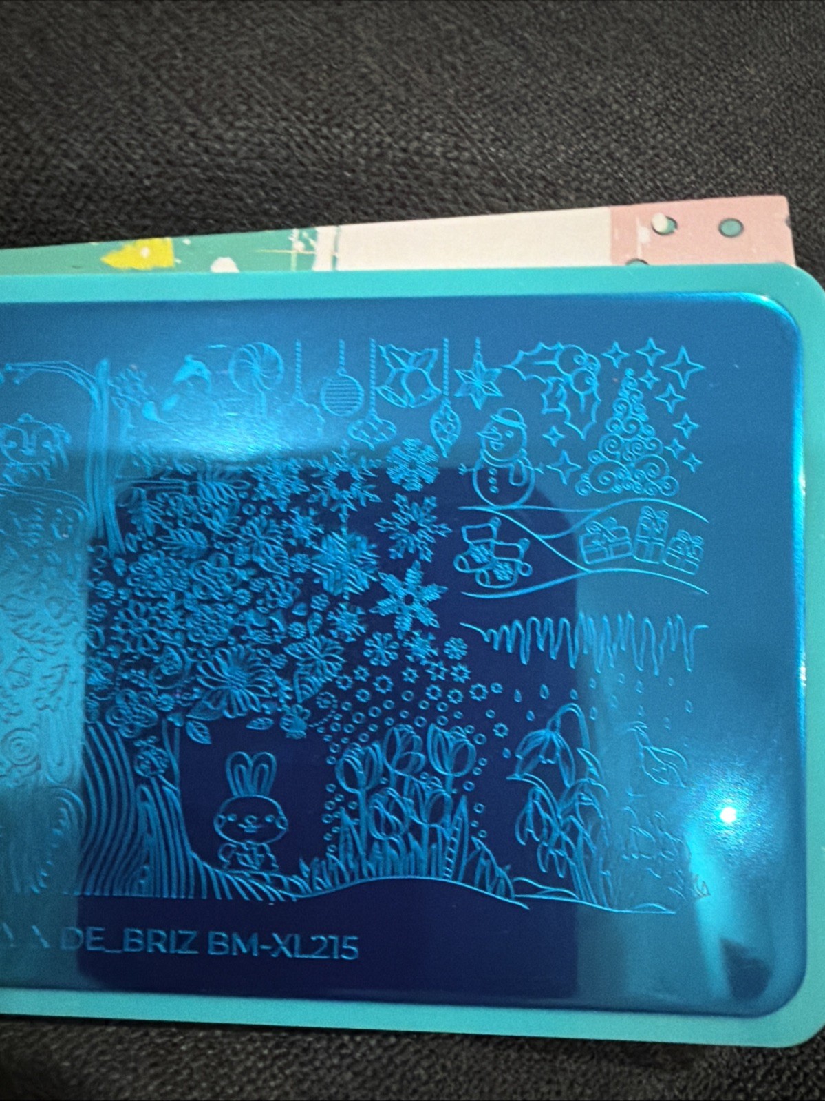 Bundle Monster Maniology de_briz Colab BM-XL215 Seasons Nail Stamping Plate