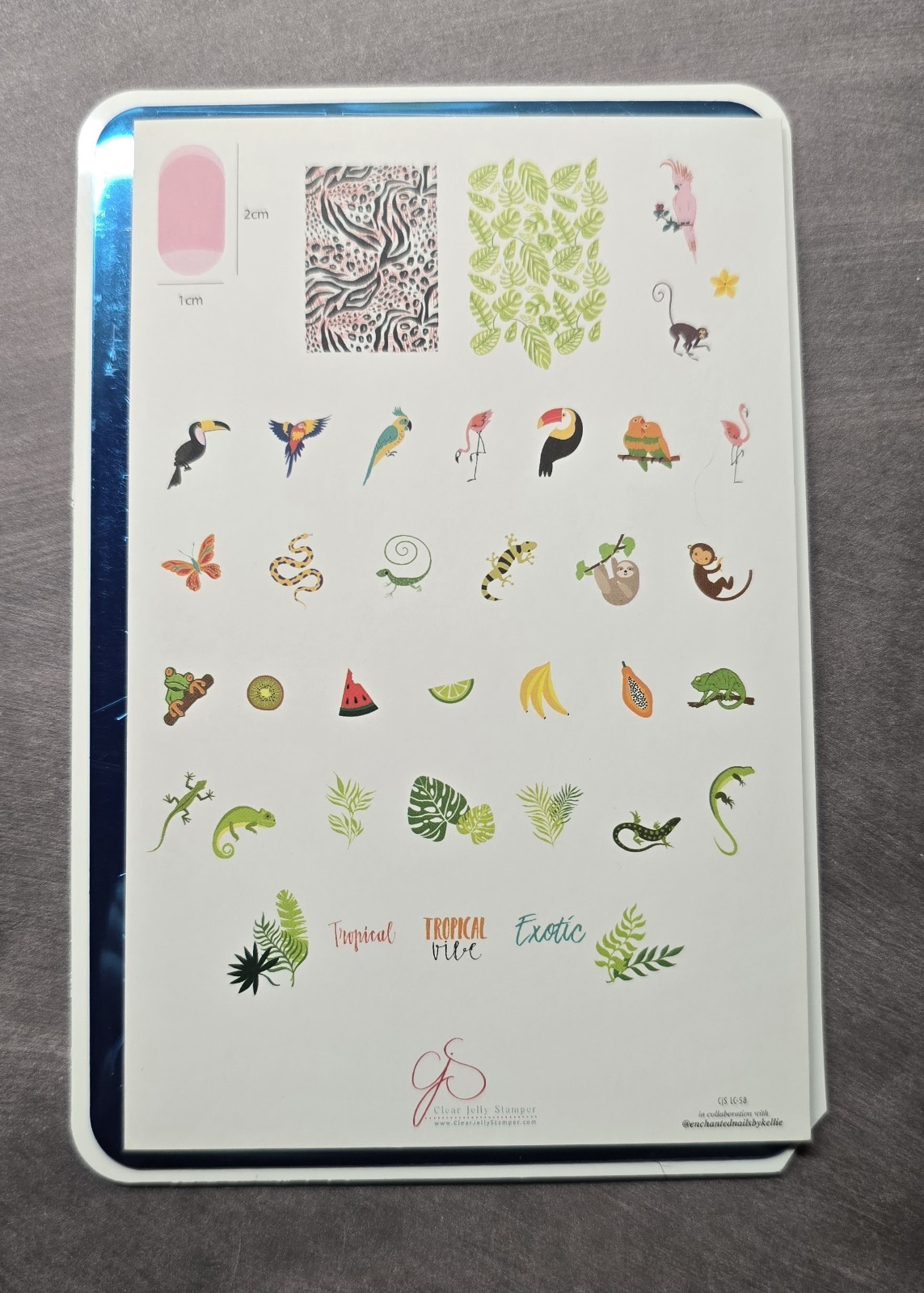 CJS Cjs LC-58 Clear Jelly Stamper Nail Stamp Plate Enchanted Tropics Rainforest