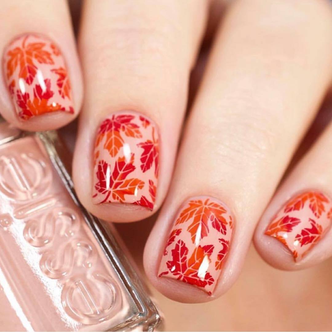 B021 Autumn Tales Stamping Plate For Stamped Nail Art Design