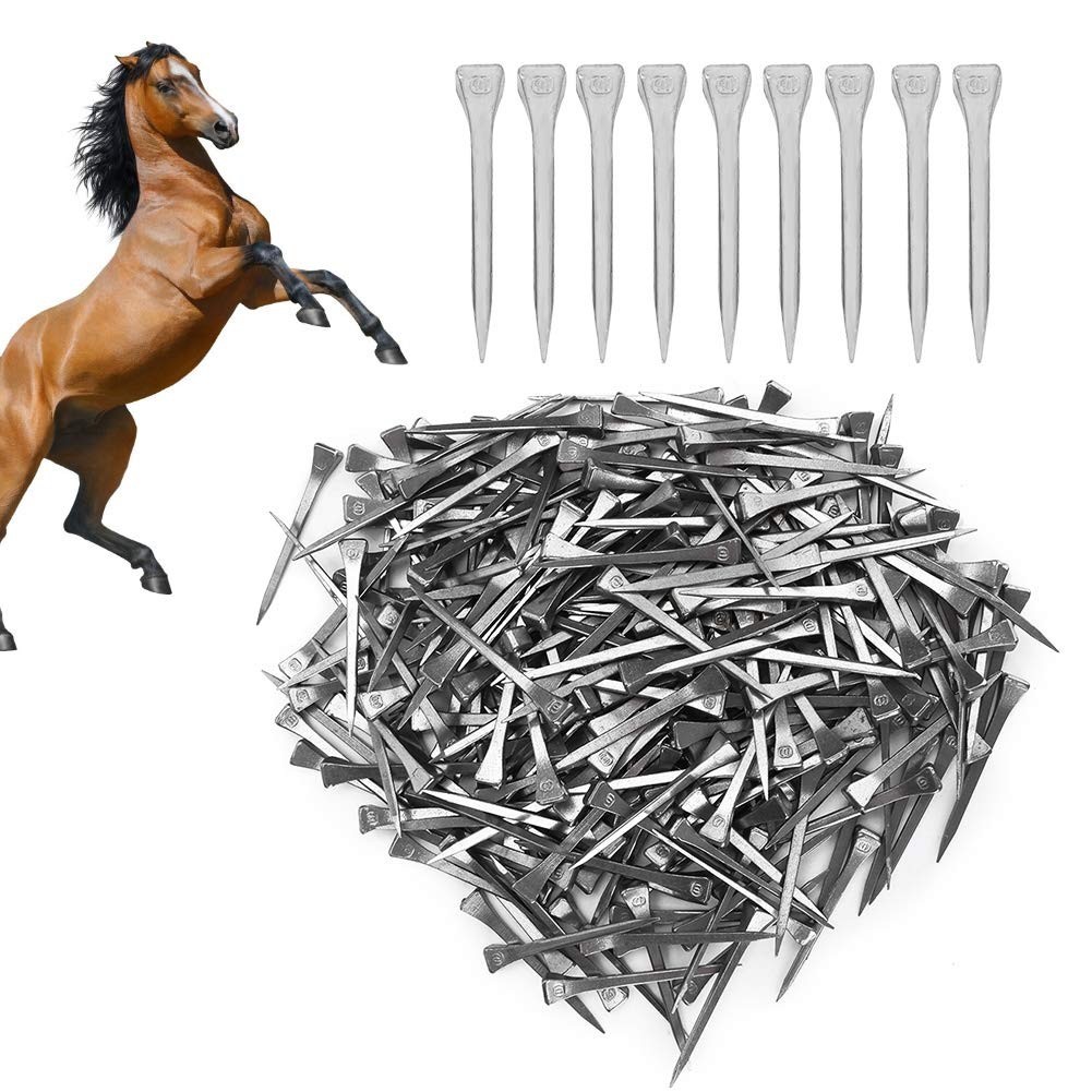 250PCS Horseshoe Nails Kit, 2.13in Steel Hoof Pegs for Equestrian Training & Too