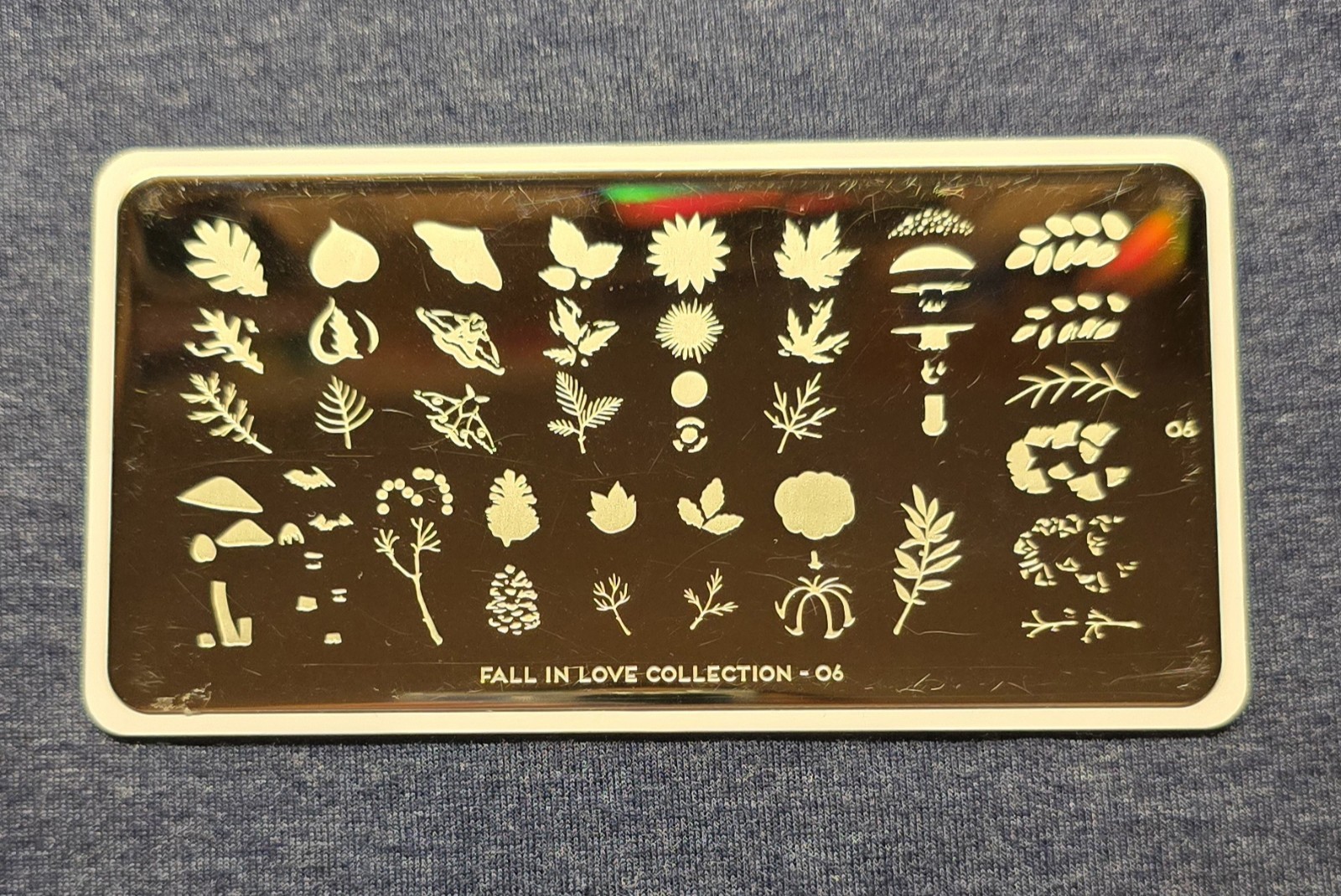 HTF MoYou London Fall In Love Collection 06 Nail Stamp Plate Layer Leaf Autumn