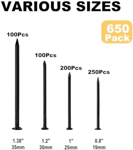 Nail for Hanging Pictures Assortment Kit – 650Pcs Small Nails, Finishing Nail…