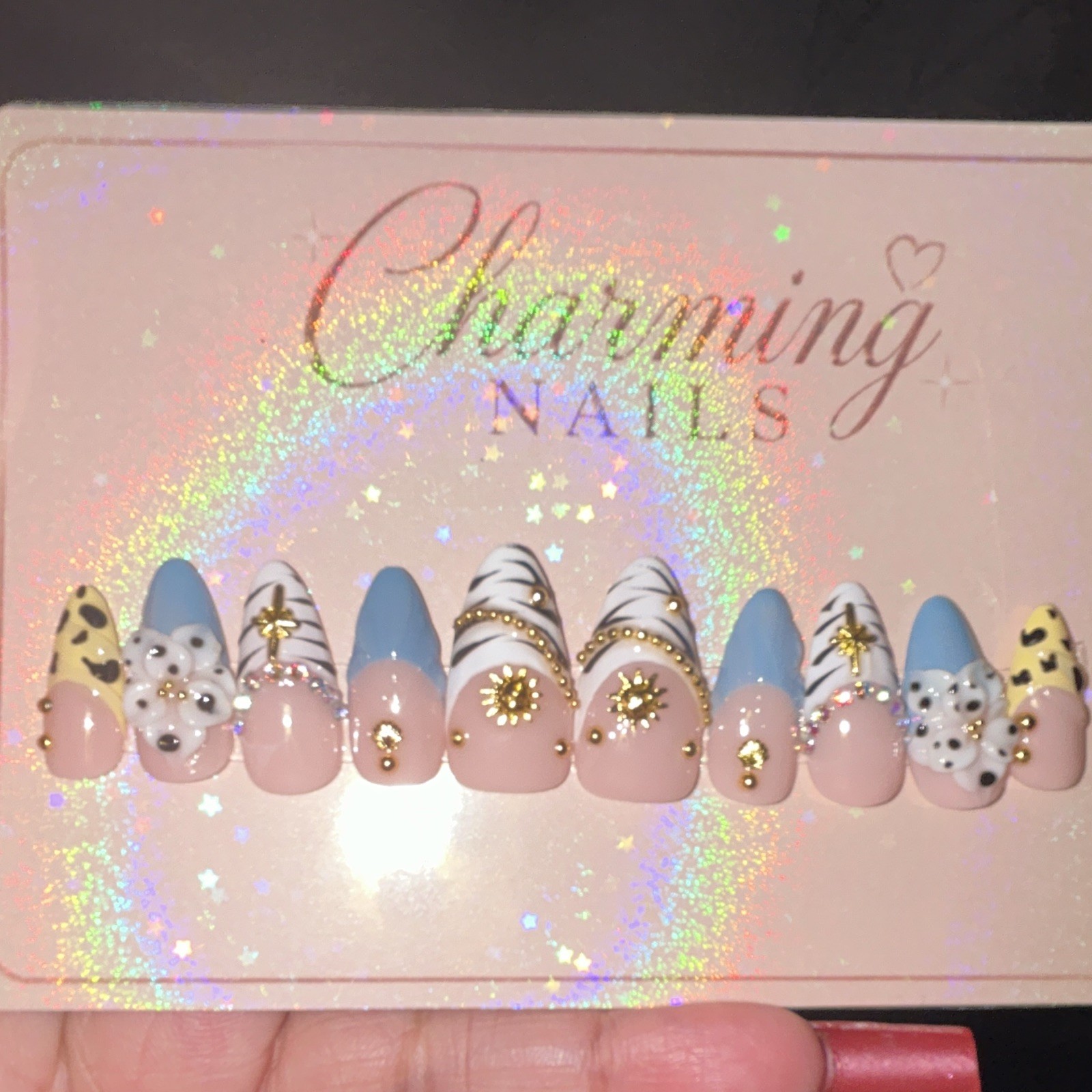 Charming Nails Press-On Nails Long Coffin Acrylic 3D Pink/Blue Animal