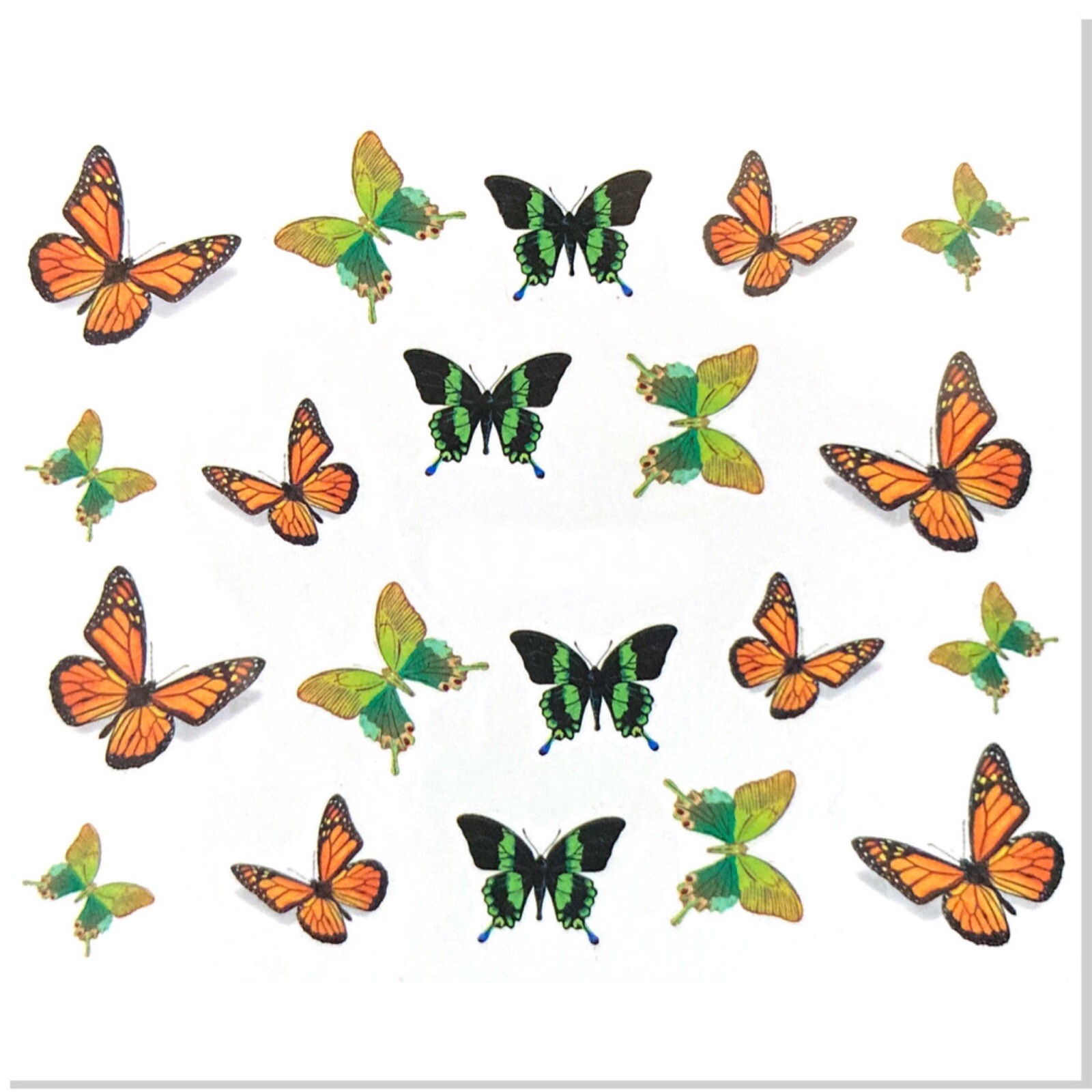 Jaysea Arts – Water Transfer Nail Decals Green Orange Monarch Butterflies – B4G1