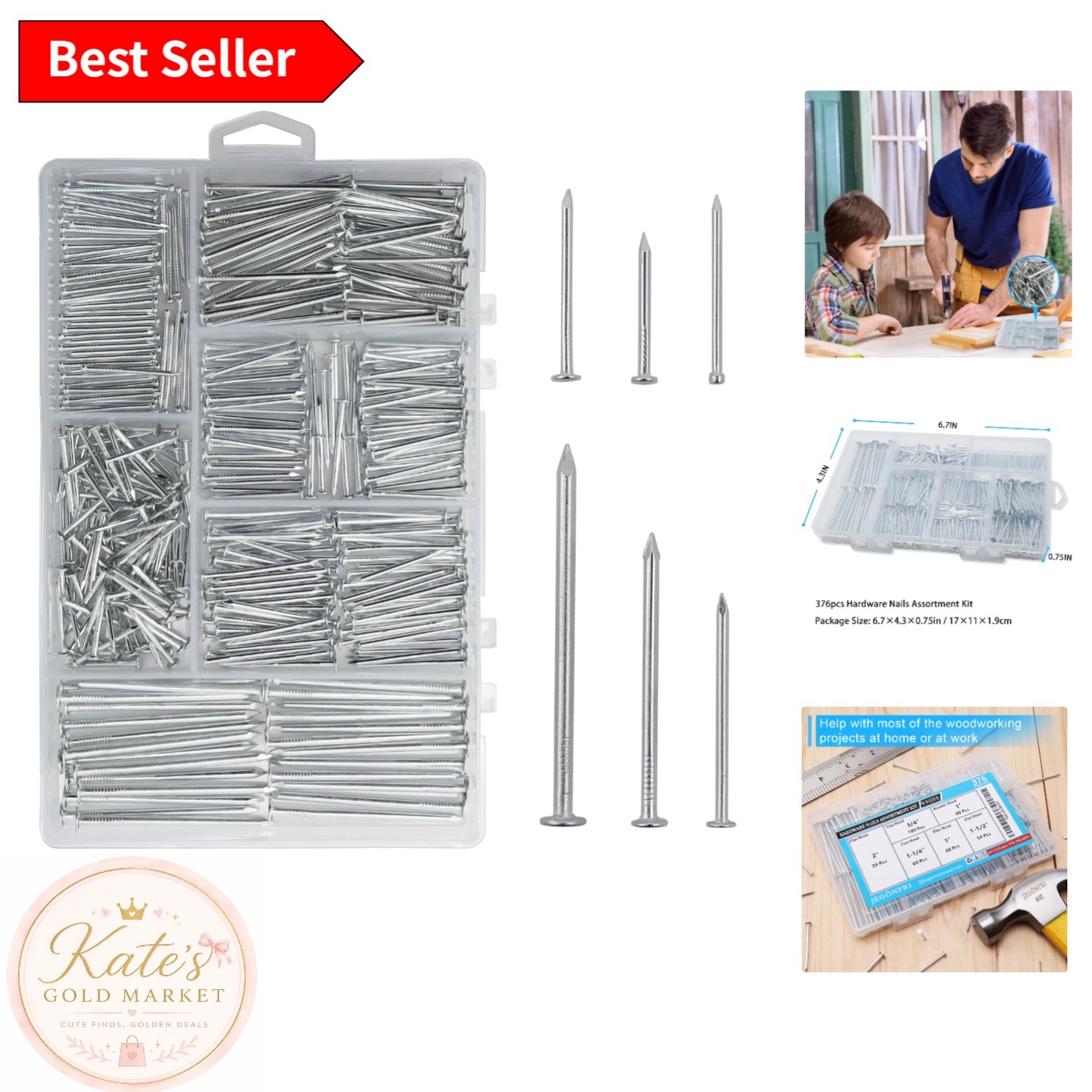 Durable Galvanized Nails Kit – 376 Pieces in 6 Sizes with Organizer Box