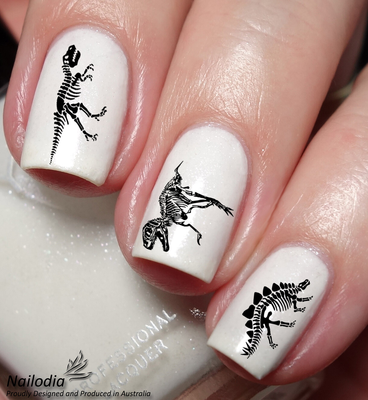 Dinosaur T-Rex Skeleton Nail Art Decal Sticker Water Transfer Slider – Jurassic