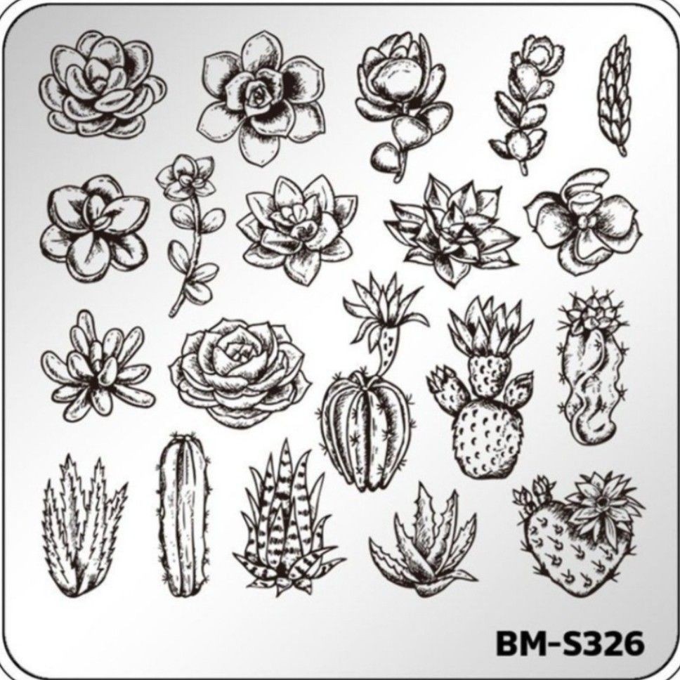 BM-S326 Maniology Bundle Monster nail stamp plate Succulent Cactus -used HTF