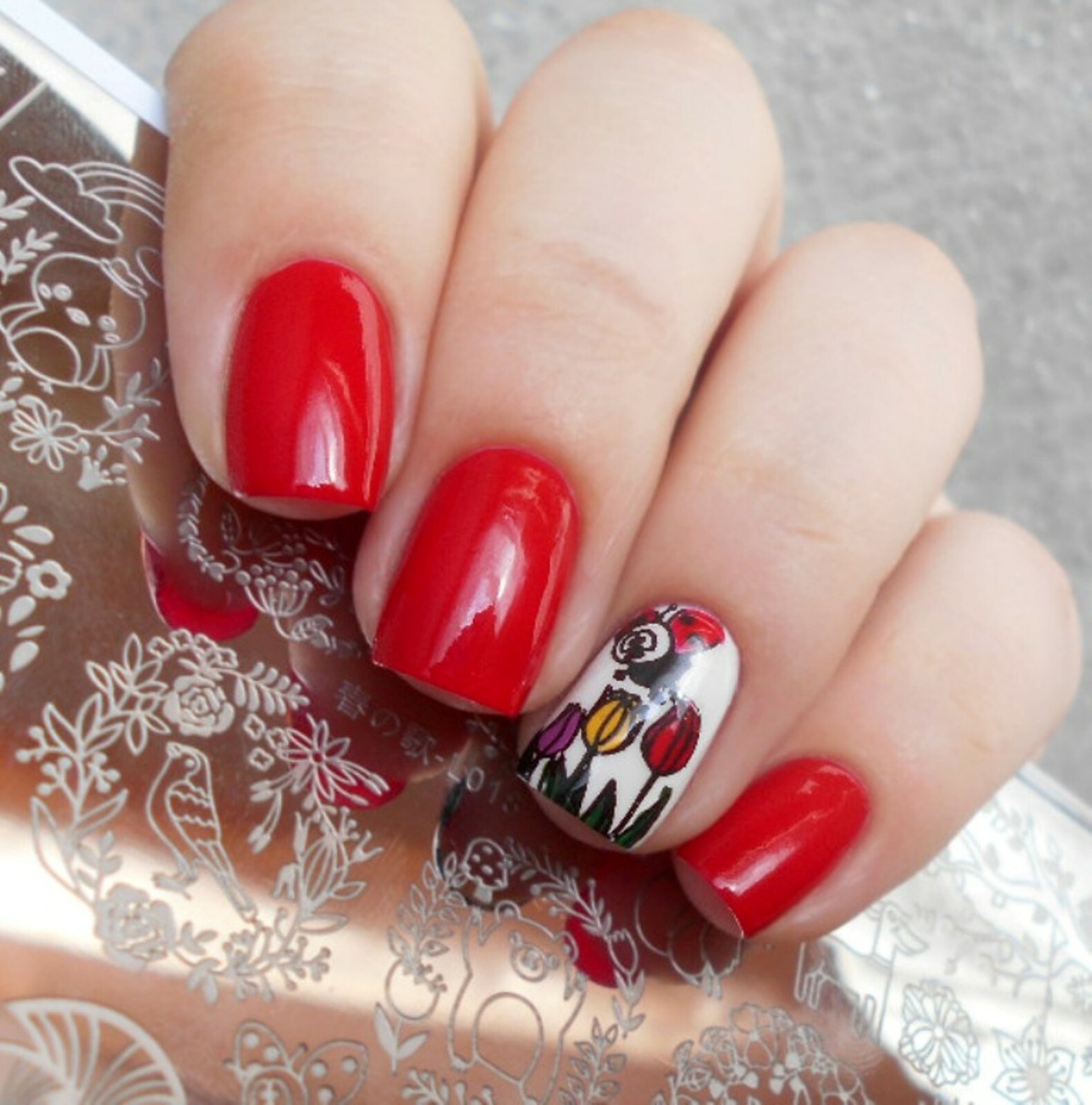 Forest Animal Pattern Nail Art Stamping Manicure Template Stencil Plate L018