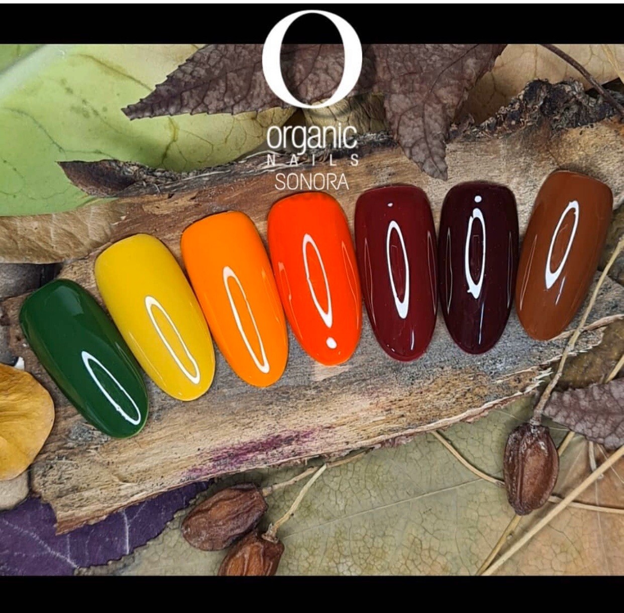 COLOR GEL 7 Colores De Otoño 15ML / 0.5FL OZ