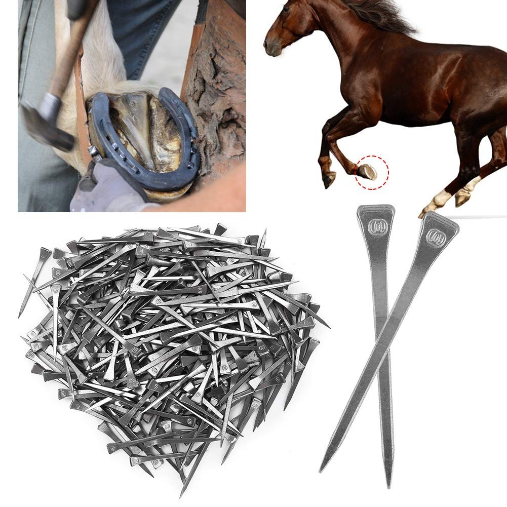 250PCS Horseshoe Nails Kit, 2.13in Steel Hoof Pegs for Equestrian Training & Too
