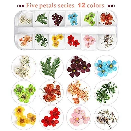 Teenior 24 Colors Nail Dried Flowers, 3D Nail Art Sticker for Tips Manicure D…