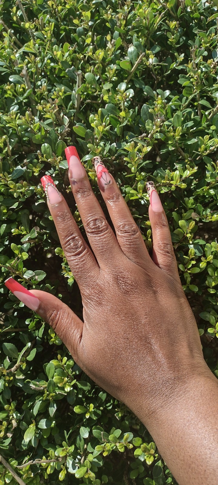 Red Cherry & Animal Print Press On Nail Set With Glue Included
