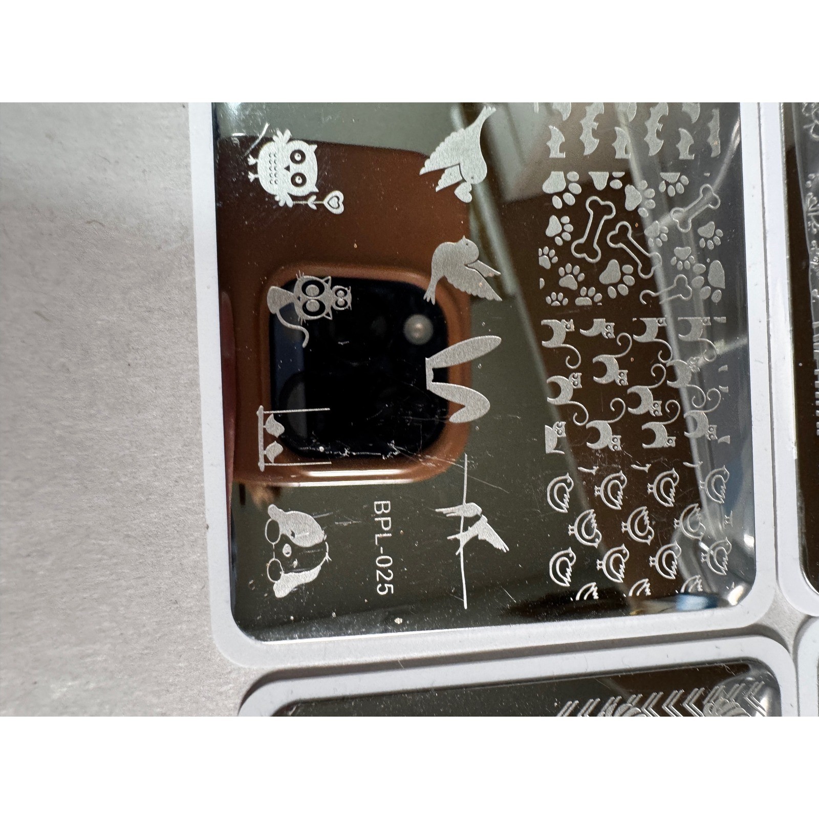 Born Pretty Nail Stamping Plates Set 6pc Silver New Floral Lace Tropical Animal