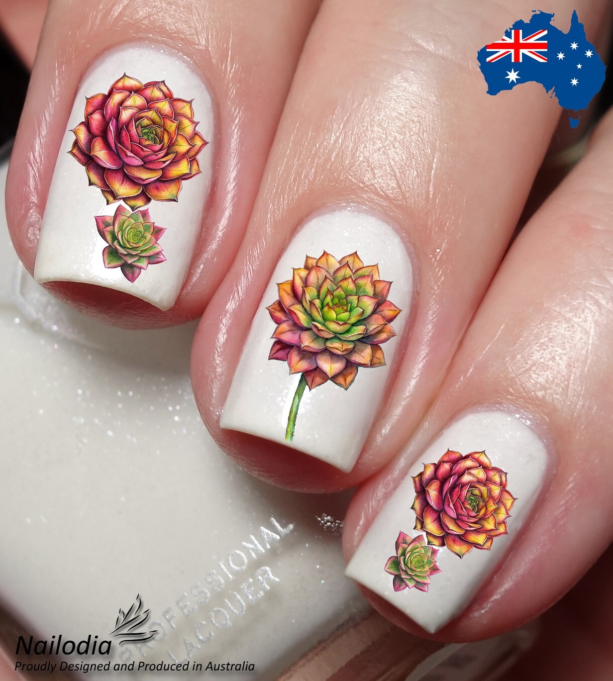 Aeonium Irish Rose Floral Flower Nail Art Decal Sticker Water Transfer Slider