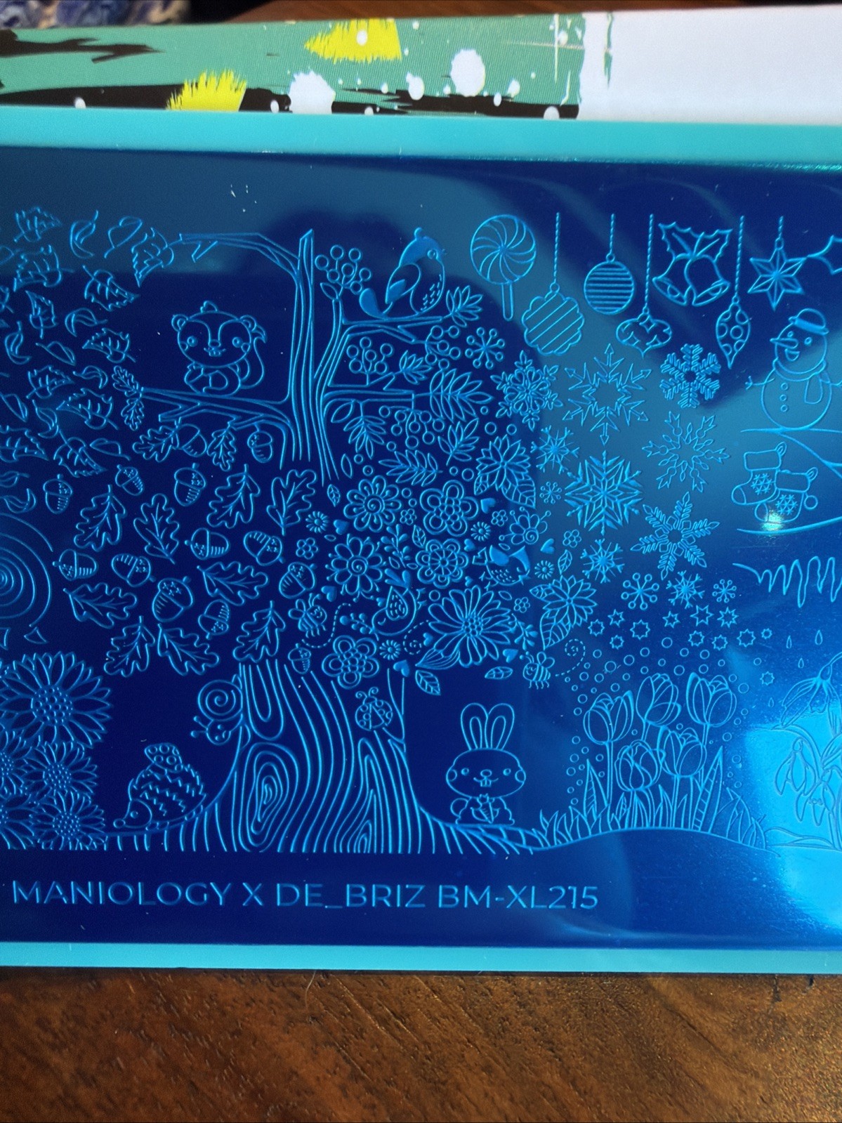 Bundle Monster Maniology de_briz Colab BM-XL215 Seasons Nail Stamping Plate NEW