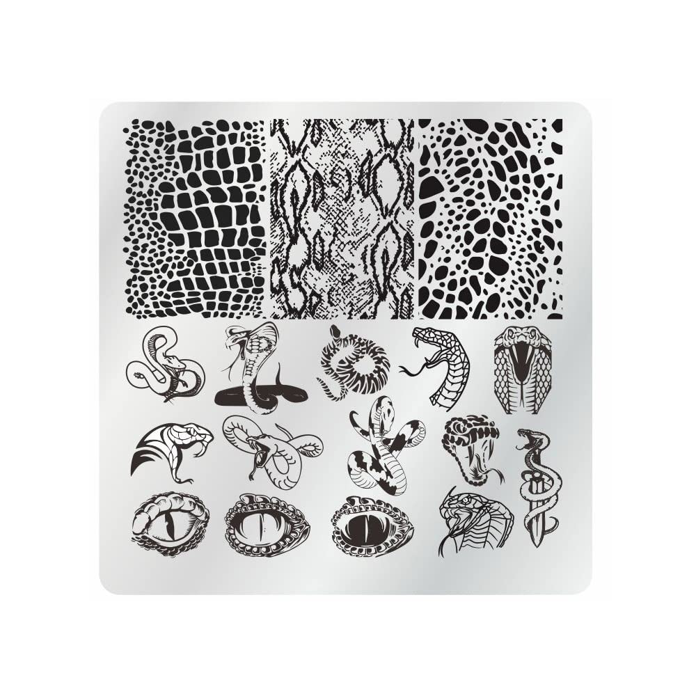 Nail Stamping Plates Set 12Pcs Nail Plates 1 Nail Art Stamper 1Scraper 1Storage