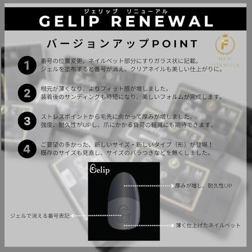 KOKOIST Gelip AM Almond Medium 2025 No.7 25P Japan