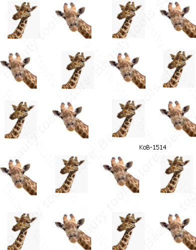 Nail Art Water Transfer Stickers Decals beautiful giraffe KoB-1514