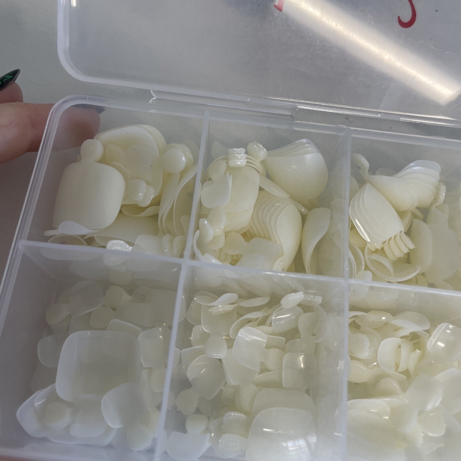 VCEDAS Nail Tips 10 Sizes with carrying case (Unknown count-mixed Up)