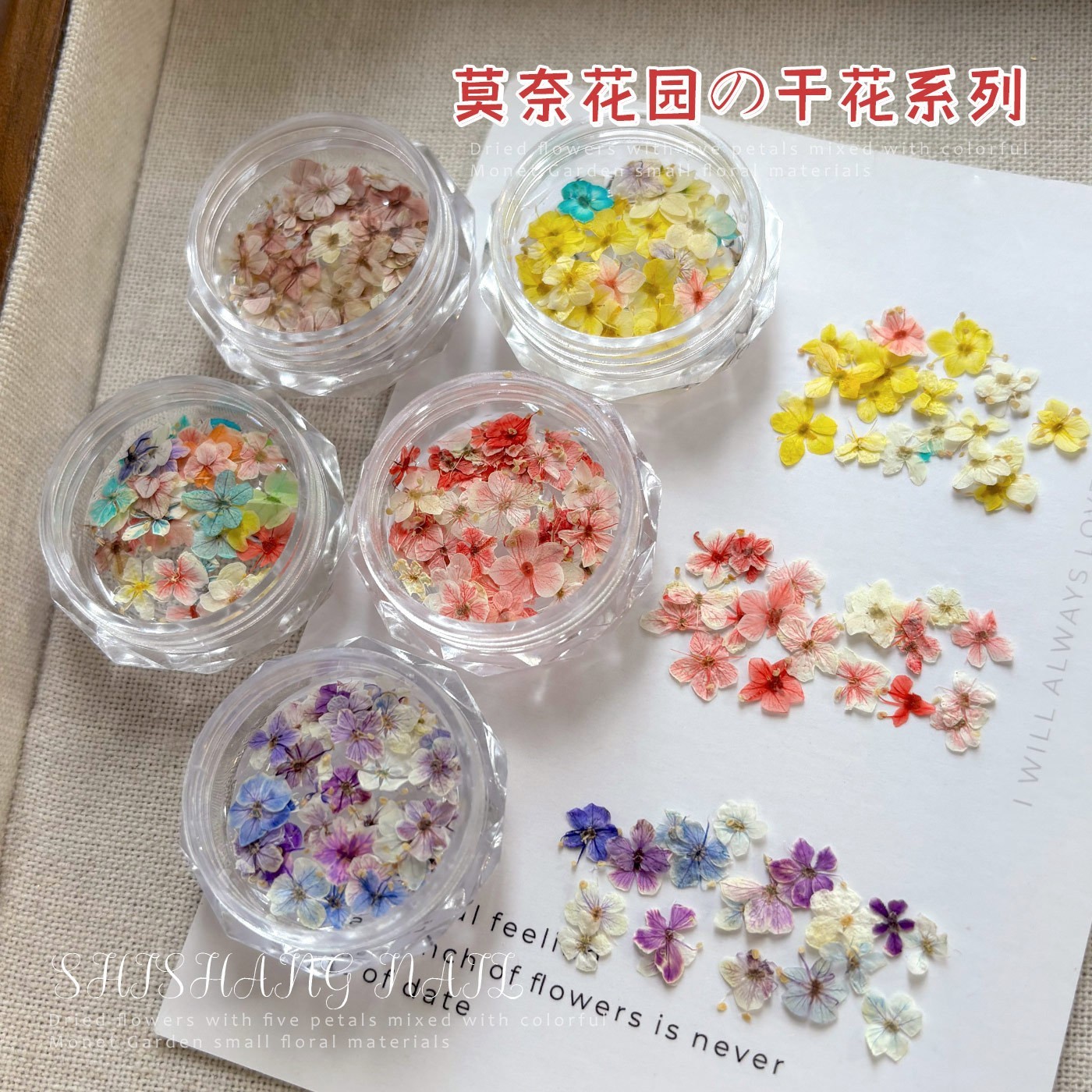 5 pots Dried Flower Acrylic UV Gel Nail Art Mixed Small Flowers Jewelry Decors