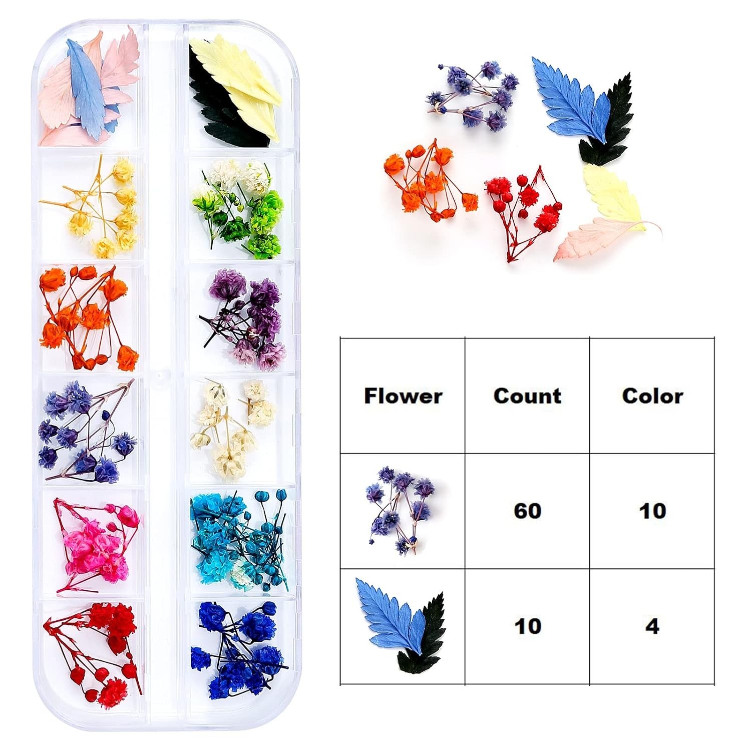 Dried Flowers for Resin Craft Nail Art Mix Small Mini Dry Flowers Pack of 6 B…