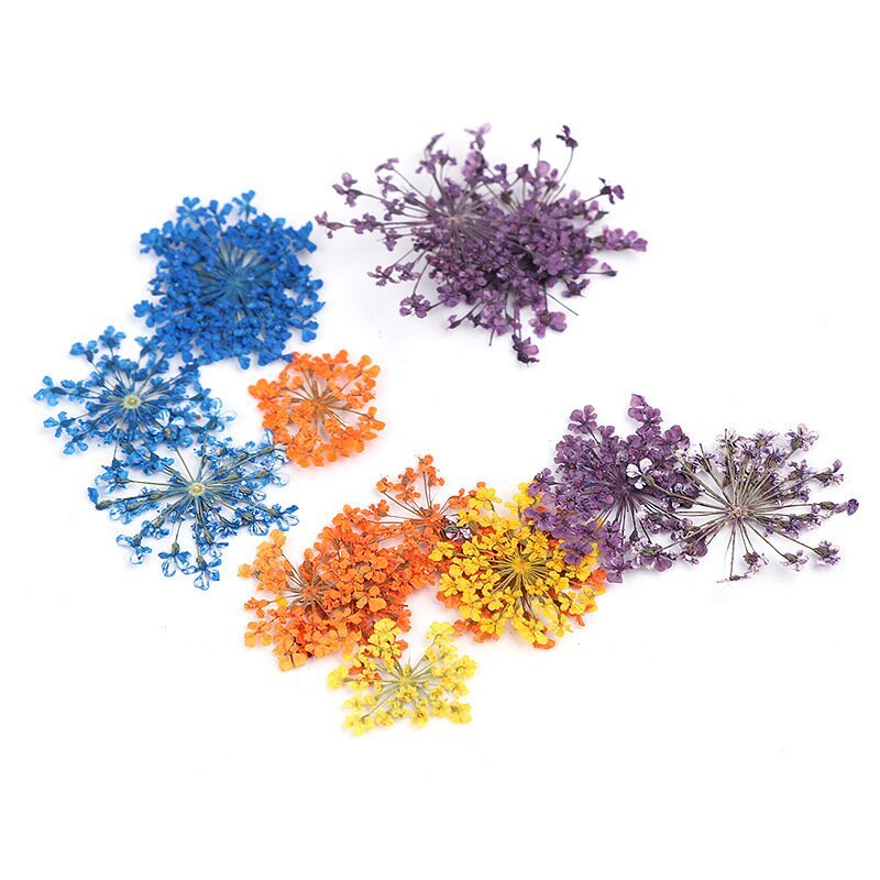 Natural Dry Flower Botanical Nail Art Decorations UV Gel Tips Manicure Accesorie