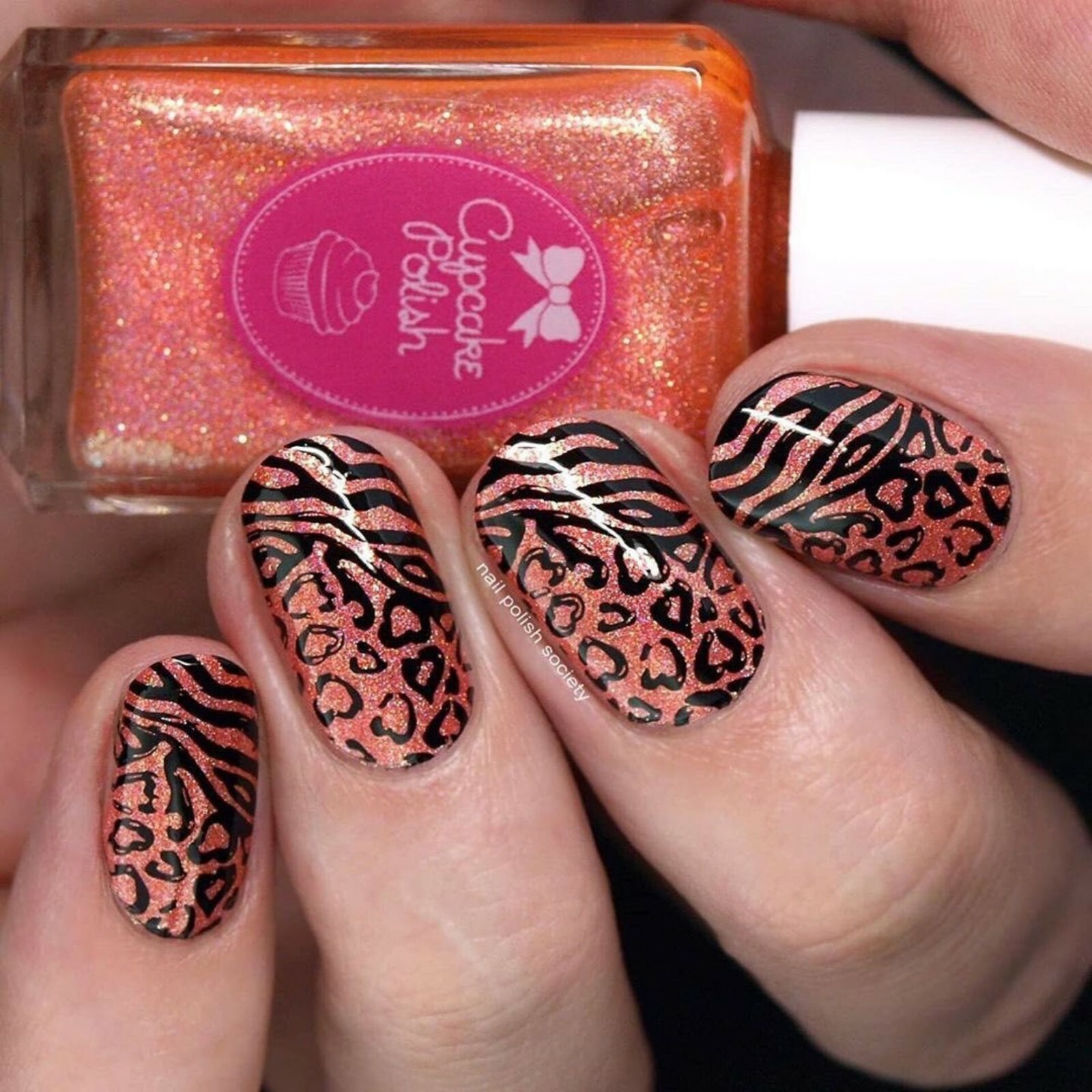 B040 Safari Ride Stamping Plate For Stamped Nail Art Design